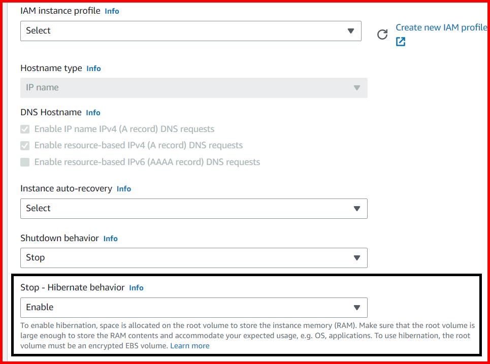 Picture showing the option to enable Hibernate while launching the EC2 instance